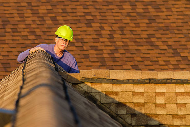 Best Roof Repair Services  in Weeping Water, NE